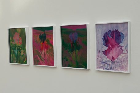 Ausstellungsansicht im Mudam