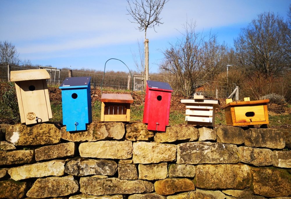 Milde Winter in Luxemburg / Nistkasten aufhängen wird immer wichtiger
