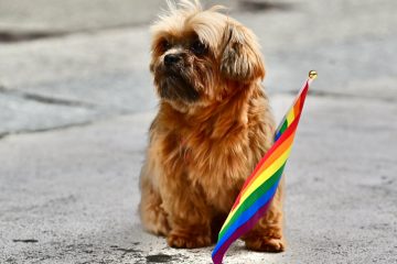 Der Politflüsterer / Alternative Fakten