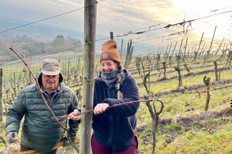 Christelle bindet die Rebe unter dem anspruchsvollen Blick unseres Ausbilders Antonio