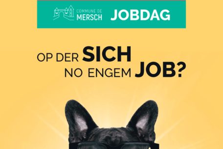 Jobdag / Mersch hilft bei der Berufswahl