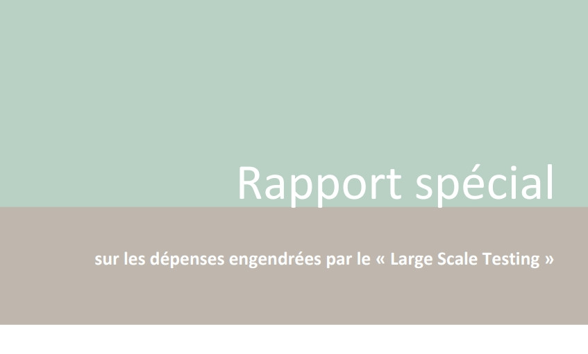 Editorial / Large Scale Testing unter der Lupe: Fehler gehören aufgearbeitet