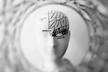 Quelle part du cerveau est responsable pour nos actions?