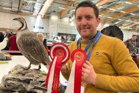 Taxidermie / Europameisterschaften der Präparatoren: Guillaume Becker gewinnt sechs Preise