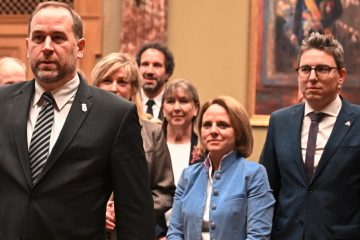 Der Politflüsterer / Die Weidel und der Weidig 