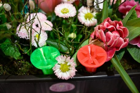 Vom 3D-Drucker in den Blumentopf: So sehen die Bienentränken von „SLBee“ aus