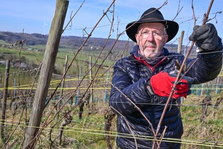 Weinbau  / Auf Umwegen zum Wein: Quereinsteiger Stéphane Singery produziert Bioweine „mit Seele“ 