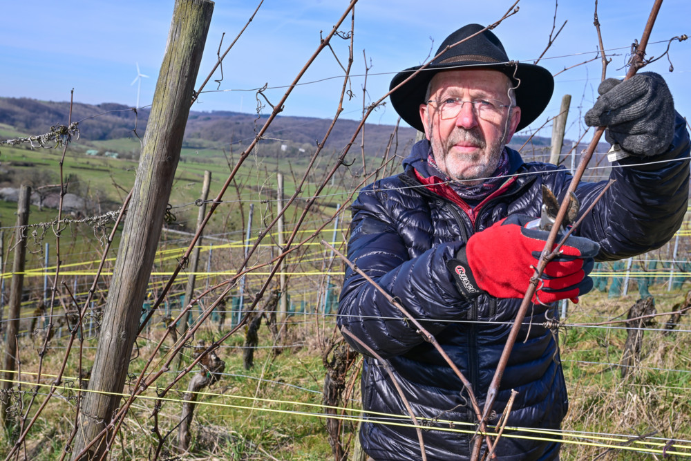Weinbau  / Auf Umwegen zum Wein: Quereinsteiger Stéphane Singery produziert Bioweine „mit Seele“ 