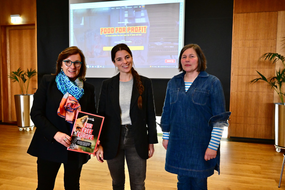 Film „Food for Profit“ / Massentierhaltung und Quälerei: Der Schein in Europa trügt