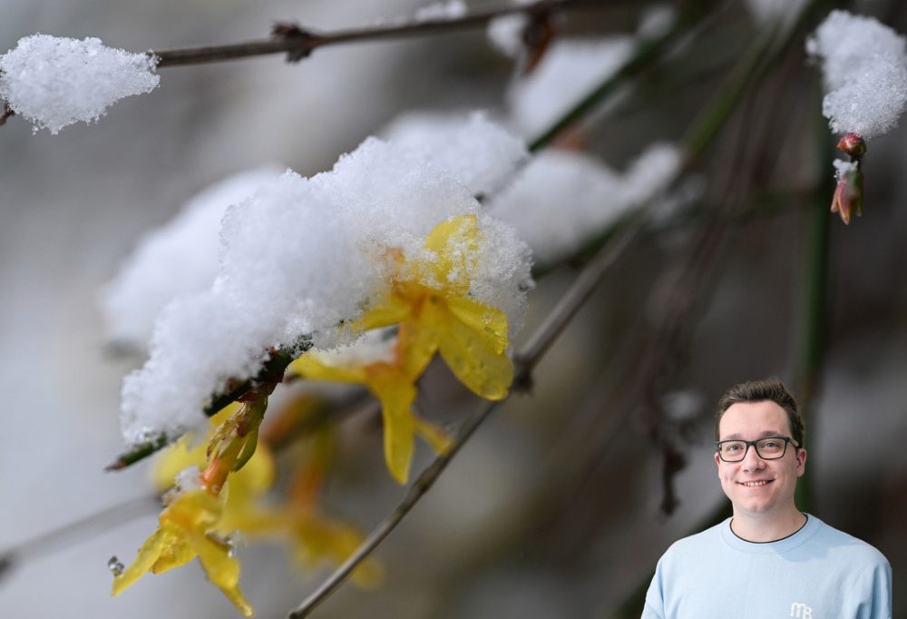 Wetterkolumne / Wie es nach dem kleinen Winter-Rückfall in Luxemburg jetzt mit dem Wetter weitergeht