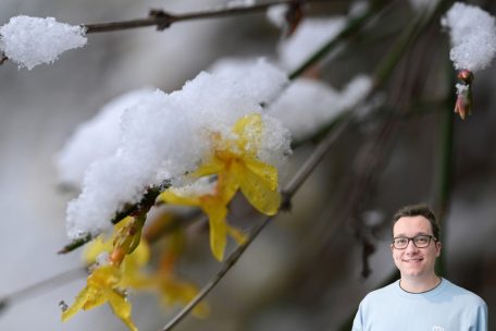 Wetterkolumne / Wie es nach dem kleinen Winter-Rückfall in Luxemburg jetzt mit dem Wetter weitergeht
