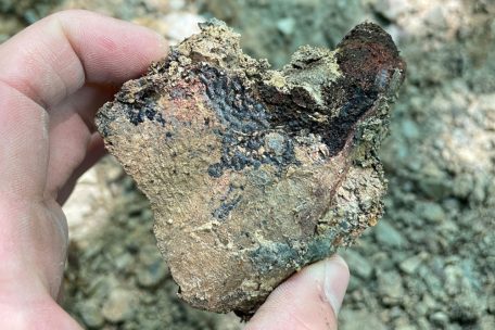 In der Gegend von Fels / Forscher finden Überreste von 210 Millionen Jahre alten Panzerlurchen