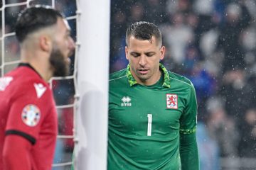 Vor den Länderspielen / FLF-Kicker im Check: Von Topform bis Sorgenkinder