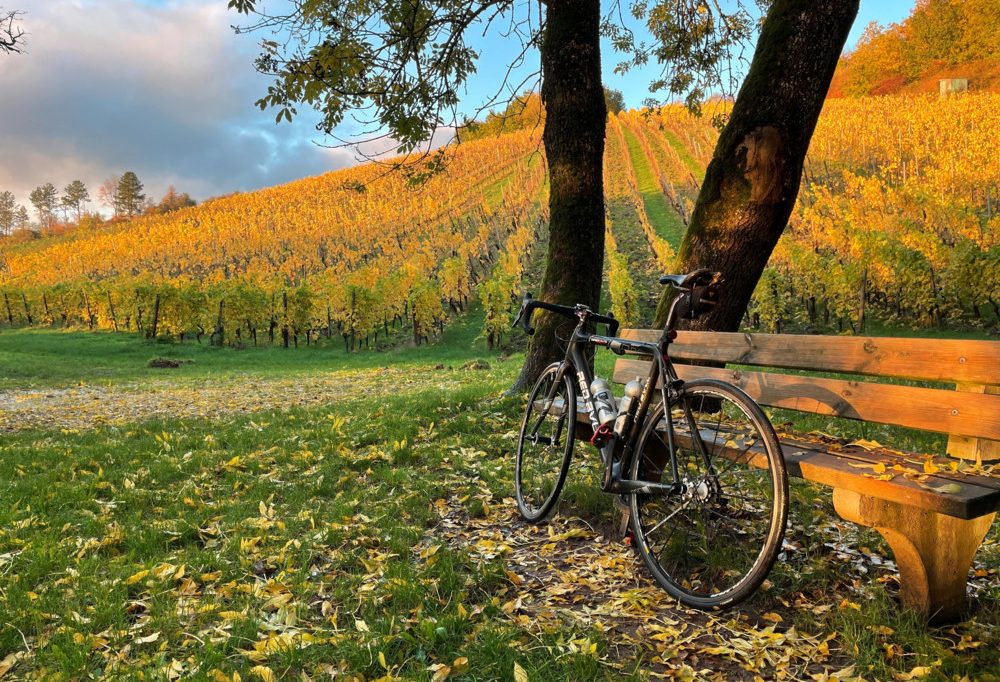Tourismus / Die Mosel im Wandel der Zeit: weniger Wanderer, Boom bei geführten Touren und Radfahrern