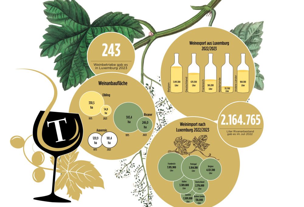 Domaine Tageblatt / Von der Anbaufläche bis zum Export: Zahlen zum Weinbau in Luxemburg
