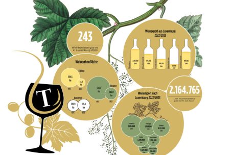 Domaine Tageblatt / Von der Anbaufläche bis zum Export: Zahlen zum Weinbau in Luxemburg