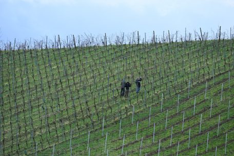 Fotograf Julien Garroy ist den Berg hochgekraxelt, um die Tageblatt-Mannschaft bei der Arbeit zu fotografieren