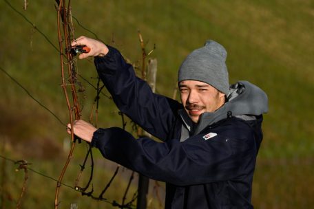 Théo, der Sohn von Laurent, arbeitet seit drei Jahren ebenfalls bei Domaine L&R Kox