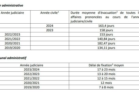 Die beiden Tabellen zeigen die durchschnittlichen Verfahrenszeiten an den jeweiligen Gerichten – die obere Tabelle behandelt den Verwaltungsgerichtshof, die untere das Verwaltungsgericht