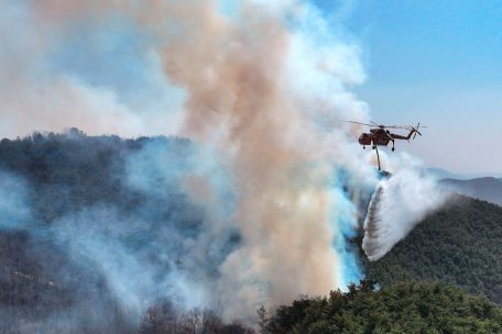 Schon 27 Tote / Südkorea erlebt die schlimmsten Waldbrände in seiner Geschichte
