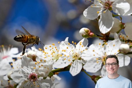 Wetterkolumne / Winter verabschiedet sich (erneut) aus Luxemburg – Temperaturen steigen bis Freitag