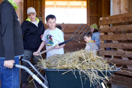 Die Kinder lernen Verantwortung und scheuen sich nicht vor körperlicher Arbeit