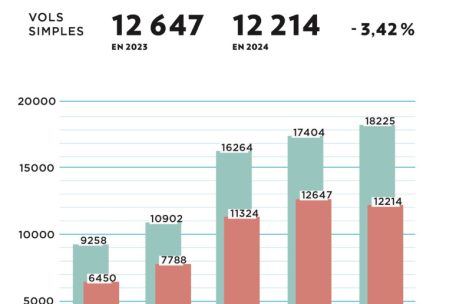 Die Zahlen der Diebstähle der letzten fünf Jahre