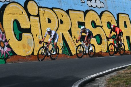 Flandern-Rundfahrt / Pogacar brennt auf die „Ronde“-Revanche – Kluckers am Start 