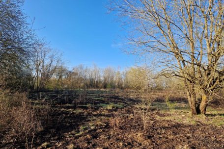 Feuer unter Kontrolle / 50 Ar in Flammen: Am Escher „Kazebierg“ hat es am Donnerstagnachmittag gebrannt