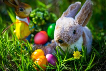 Der Politflüsterer / Globi et Glodi statt Urbi et Orbi