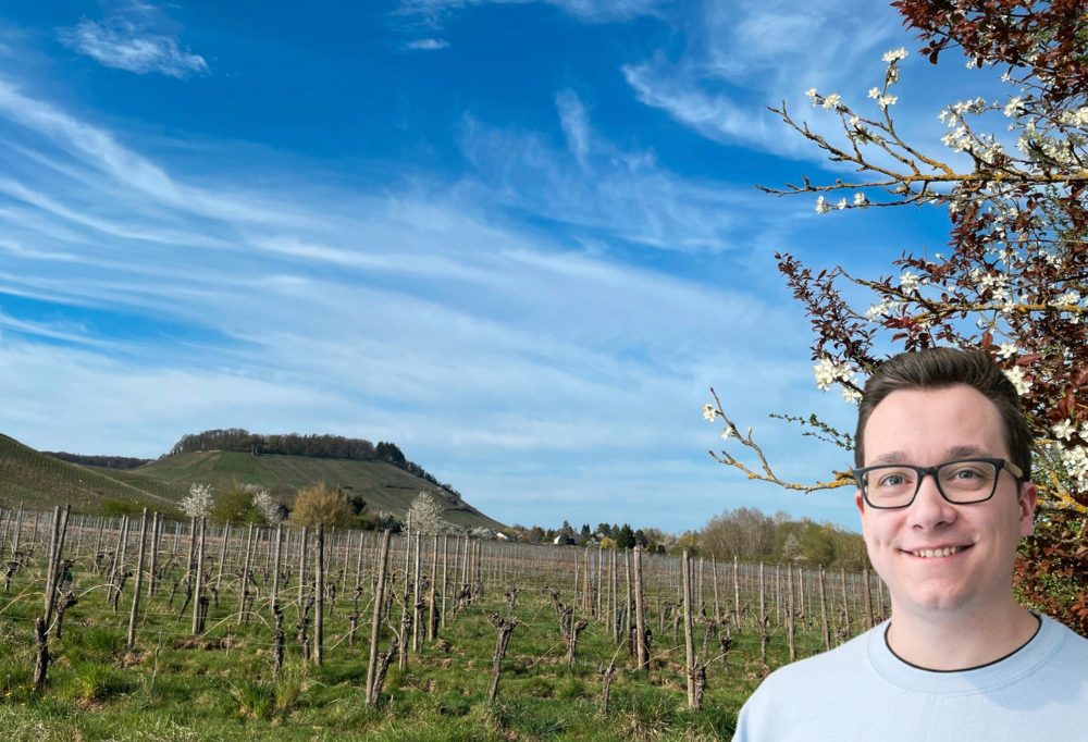 Wetterkolumne / Die 20 Grad kommen zum Wochenende wieder – aber wahrscheinlich von Schauern getrübt