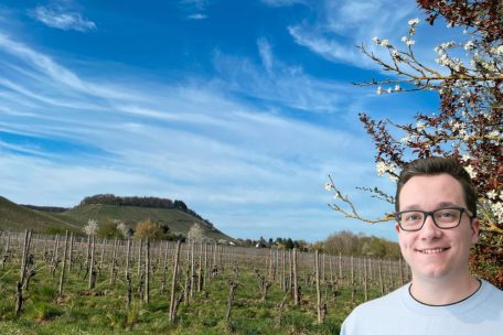 Wetterkolumne / Die 20 Grad kommen zum Wochenende wieder – aber wahrscheinlich von Schauern getrübt