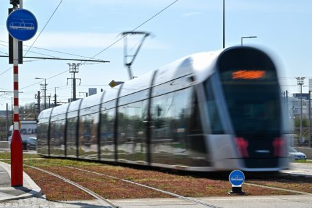 An mehreren Stellen entlang der Straßenbahn-Trasse weisen Schildchen am Boden darauf hin, dass die Straßenbahn dort verkehrt