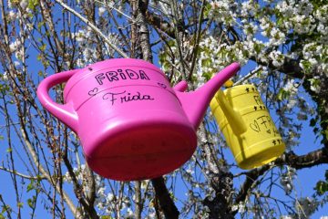 Tierschutz  / „Likes“ und „Daumen hoch“ reichen nicht: Tierschutzverein bemängelt Haltung im Land