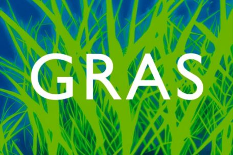 Bernhard Kegel: Gras. D&ouml;rlemann Verlag, Z&uuml;rich 2024