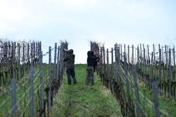Domaine Tageblatt / Wie sich Trumps 200-Prozent-Zoll auf Luxemburgs Weinexport auswirken würde
