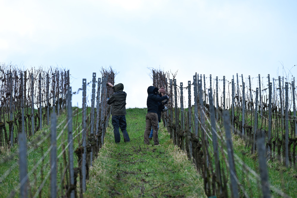 Domaine Tageblatt / Wie sich Trumps 200-Prozent-Zoll auf Luxemburgs Weinexport auswirken würde