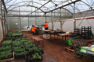 Den Escher Geméisguart / Wo Menschen eine neue berufliche Perspektive finden