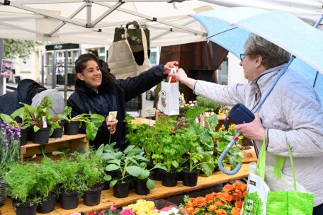 Differdingen / Wie Wochenmärkte den Stadtkern beleben