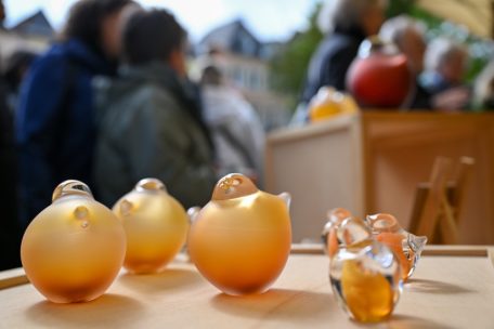 Und auch besonders feine Exemplare der Vögel waren hier zu sehen