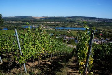 Medienbericht / Trinkwasserknappheit: Die Mosel soll Luxemburgs Durst stillen