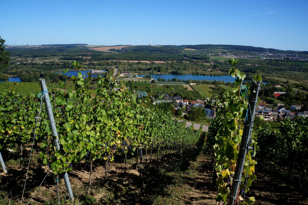 Medienbericht / Trinkwasserknappheit: Die Mosel soll Luxemburgs Durst stillen