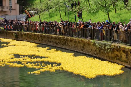 Luxemburg-Grund / Enten an den Start: Das Duck Race 2025 ist zurück!