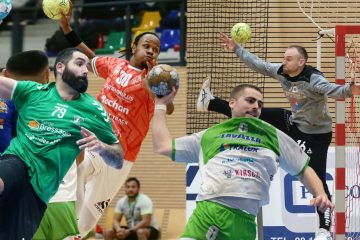 Handball / Vier Schlüsselspieler und ihre Meinung vor dem Final Four