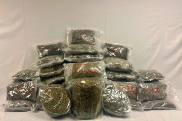 Mithilfe von Spürhunden / Luxemburger Zoll stellt 54 Kilo Marihuana bei Lkw-Kontrollen sicher