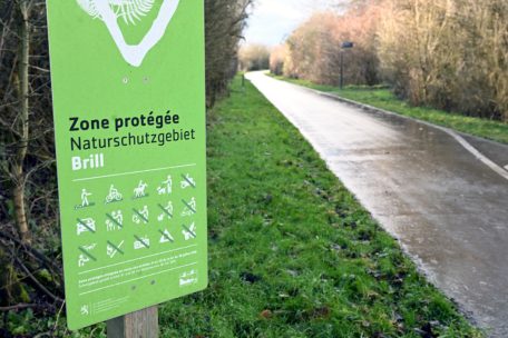 Gemeinderat / Schifflingen macht den Anfang: Zwei von 50 TICE-Mitarbeitern übernommen