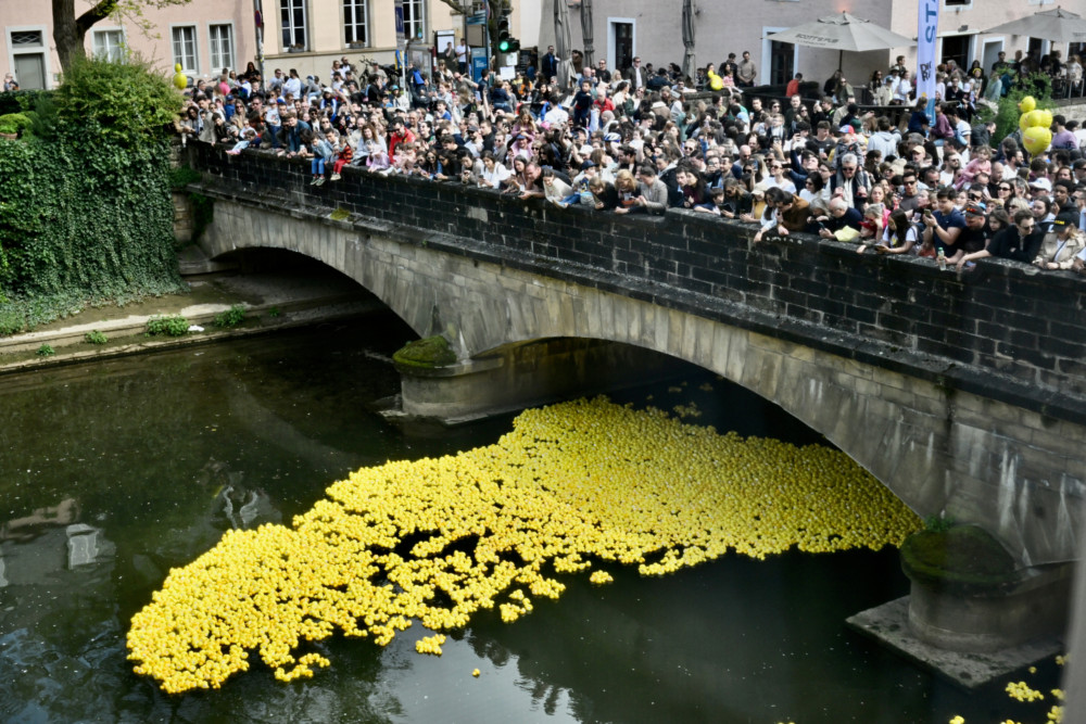 Fotogalerie / Quietsche-Enten schwimmen beim „Duck Race“ in Luxemburg-Grund für den guten Zweck