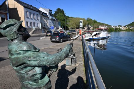 Fischerei / Schlechter Zustand: Kann der Moselfisch bedenkenlos verzehrt werden?