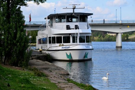 Schifffahrt zerstört das Gleichgewicht des Ökosystems