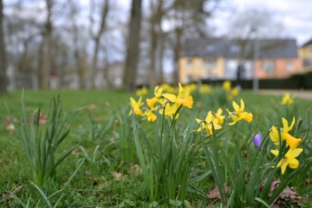 Wetter / Frühsommer-Ende: In Luxemburg wird es Anfang nächster Woche nur noch halb so warm